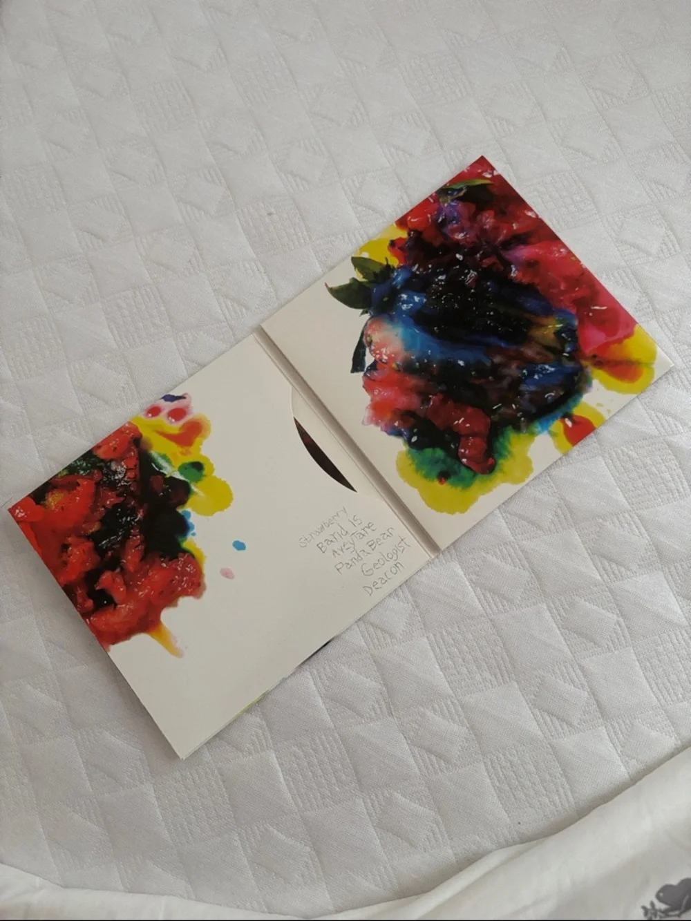 Animal Collective “Strawberry Jam” CD booklet - Picture 2 of 5